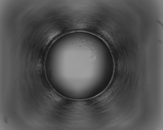 X0000093391210200710191147