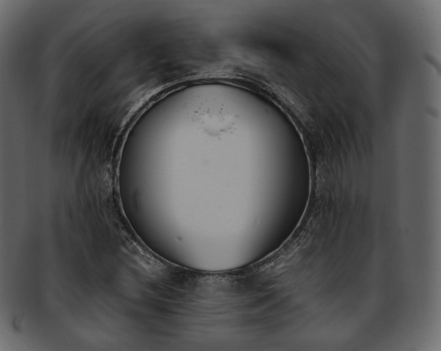 X0000093391212200710191147