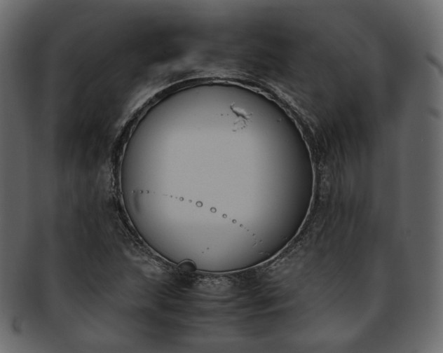 X0000093391215200710191147