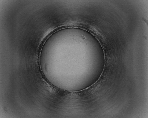 X0000093391216200710191147