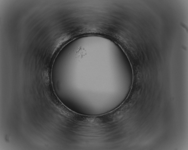 X0000093391218200710191147