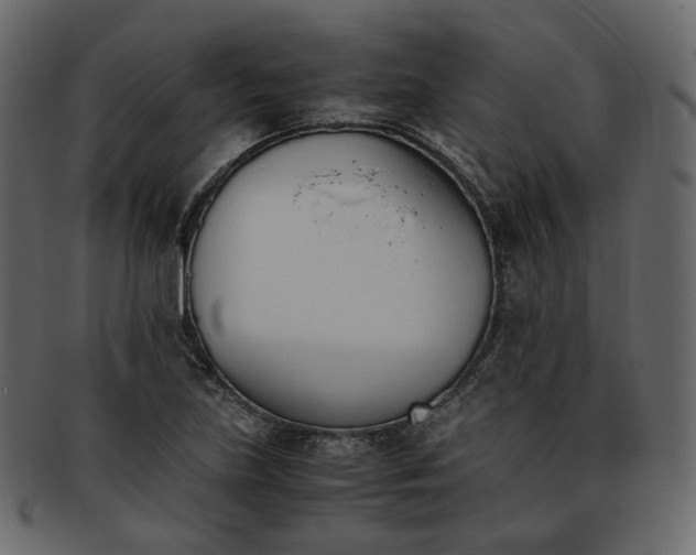 X0000093391219200710191147