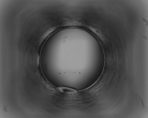 X0000093391221200710191147