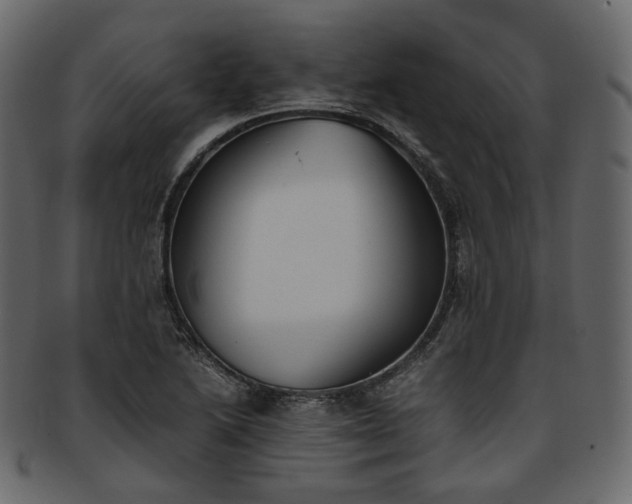 X0000093391222200710191147