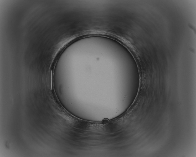 X0000093391223200710191147