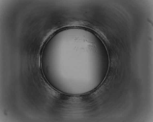 X0000093391224200710191147