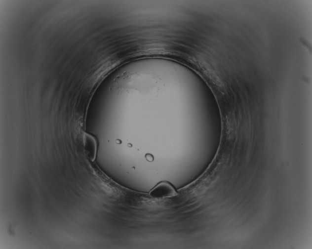 X0000093391225200710191147