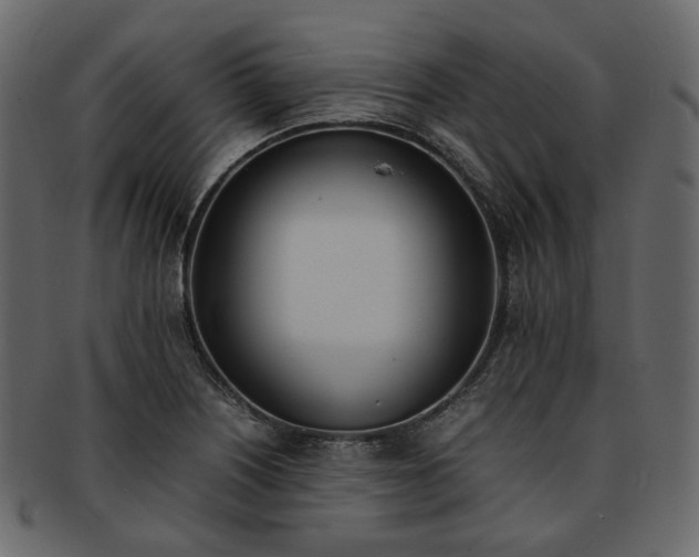 X0000093391226200710191147