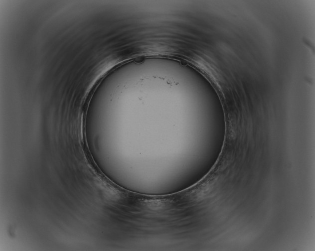 X0000093391227200710191147