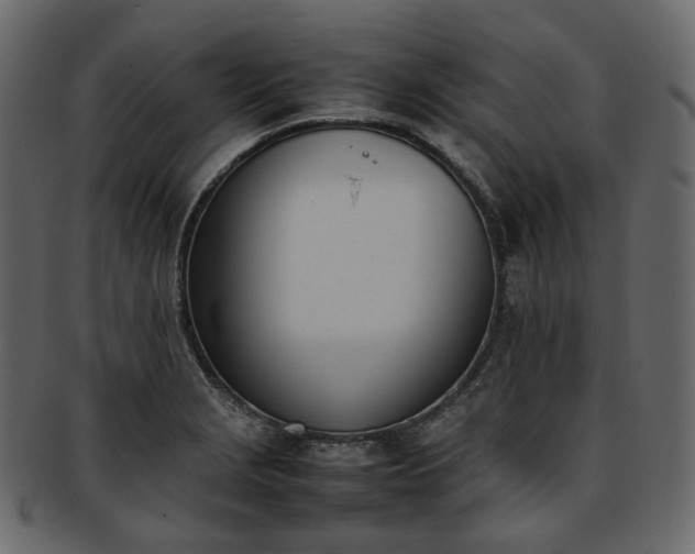 X0000093391229200710191147