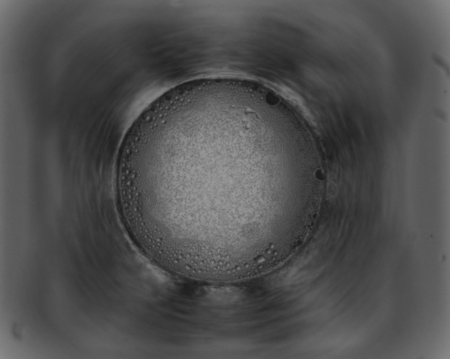 X0000093391231200710191147