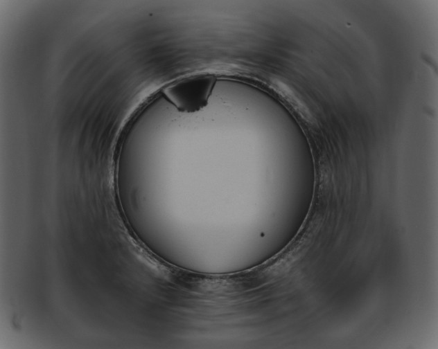 X0000093391232200710191147