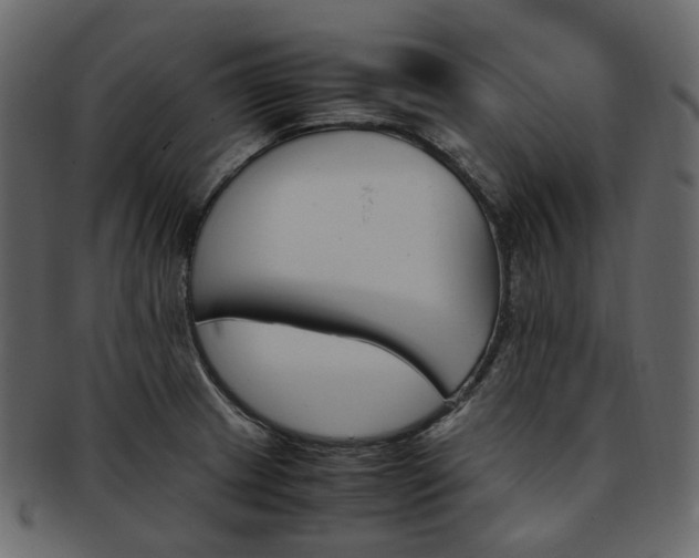 X0000093391233200710191147