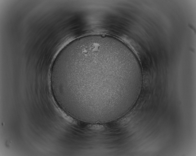 X0000093391235200710191147