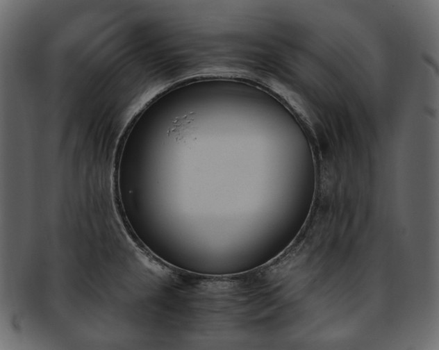 X0000093391237200710191147