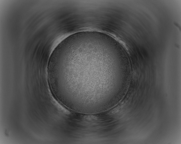 X0000093391239200710191147