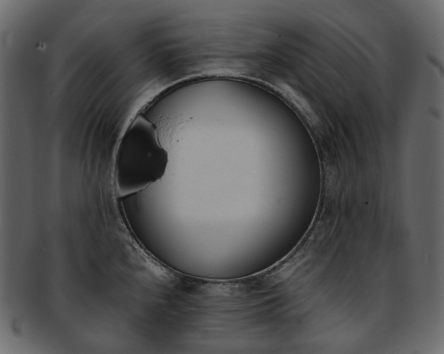 X0000093391240200710191147