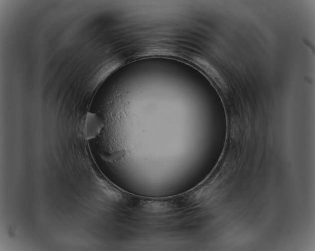 X0000093391241200710191147