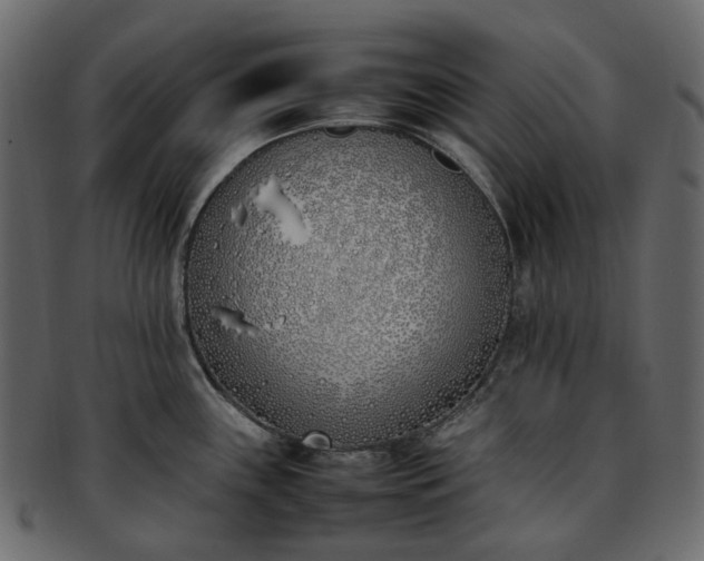 X0000093391243200710191147