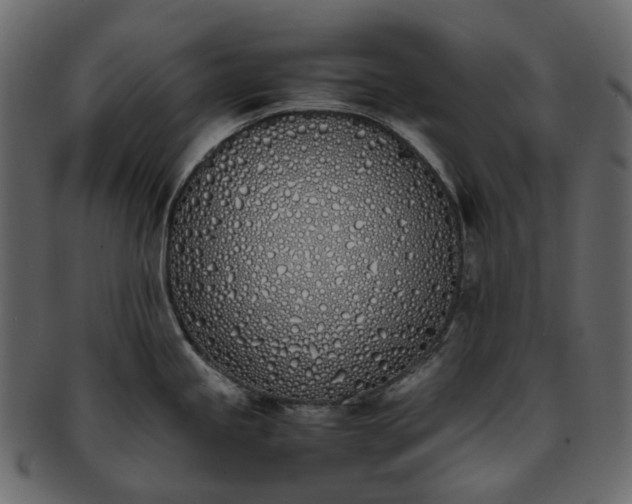 X0000093391245200710191147