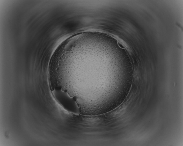 X0000093391247200710191147