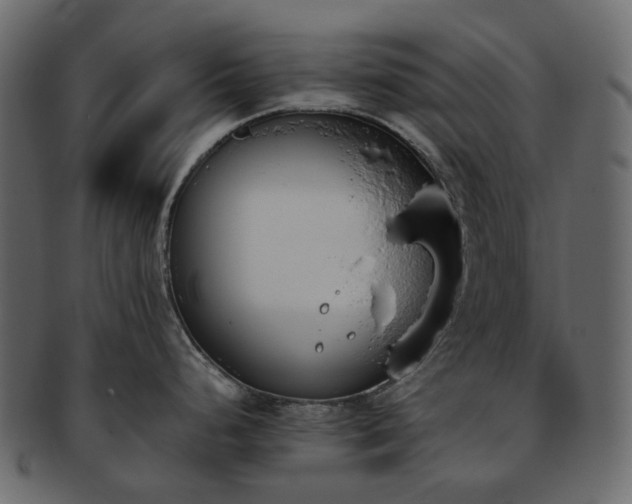 X0000093391248200710191147