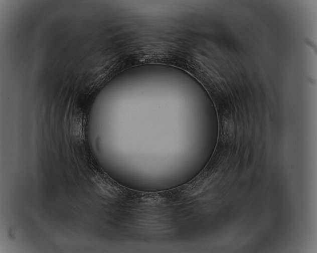 X0000093391250200710191147