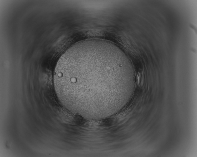 X0000093391251200710191147