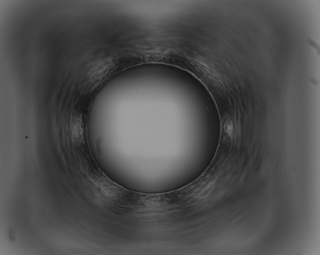 X0000093391252200710191147