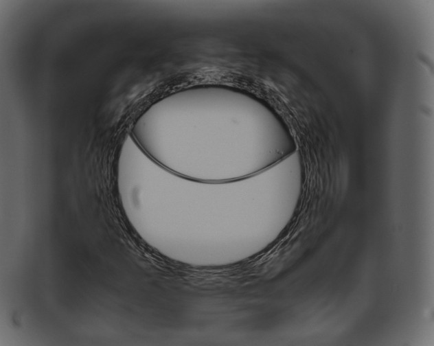 X0000093391253200710191147