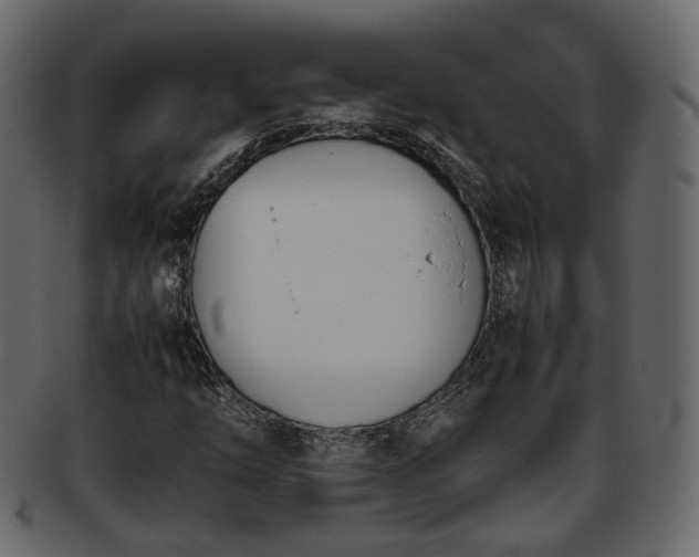 X0000093391254200710191147