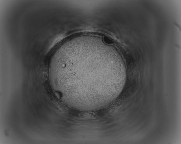 X0000093391255200710191147