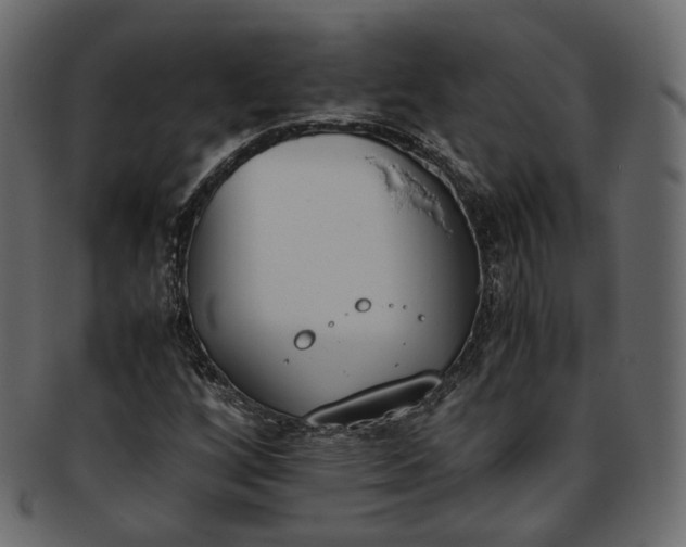 X0000093391256200710191147