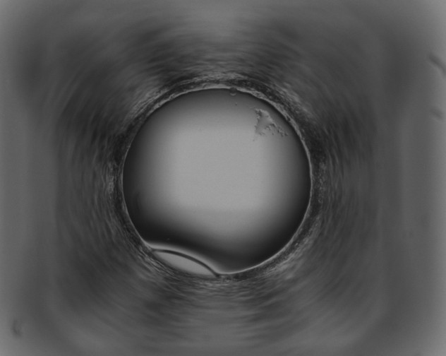 X0000093391257200710191147