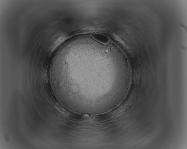 X0000093391259200710191147