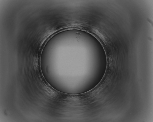 X0000093391260200710191147