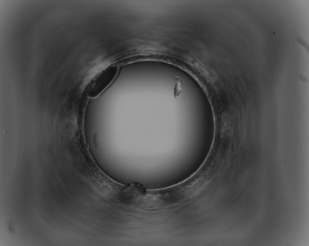 X0000093391261200710191147