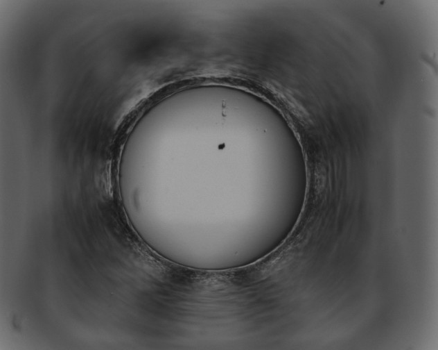 X0000093391262200710191147