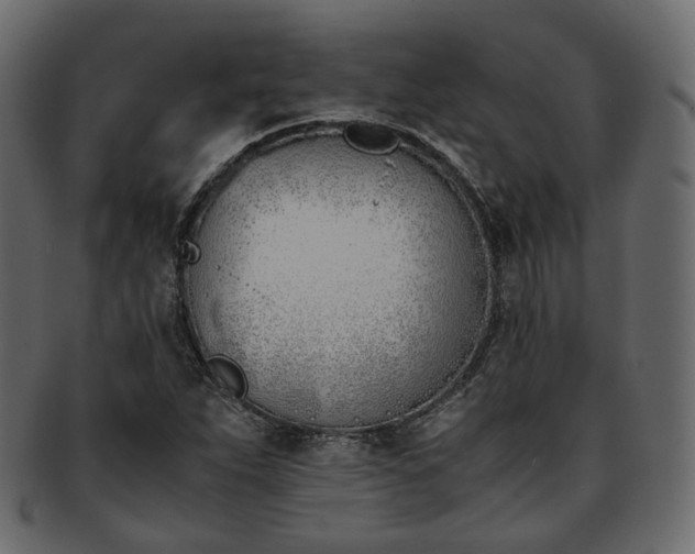 X0000093391263200710191147