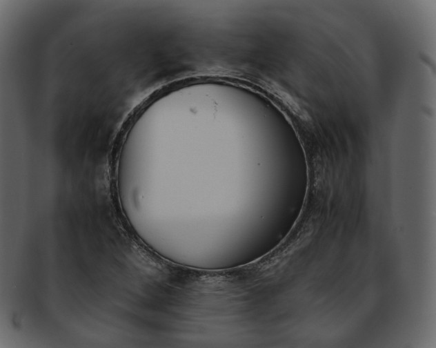 X0000093391264200710191147