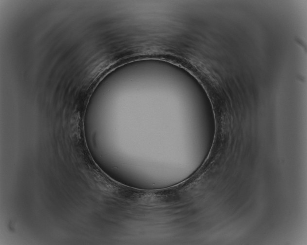 X0000093391265200710191147