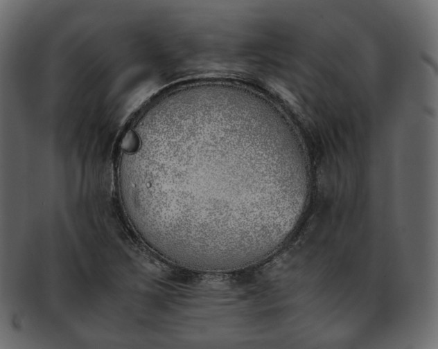 X0000093391267200710191147