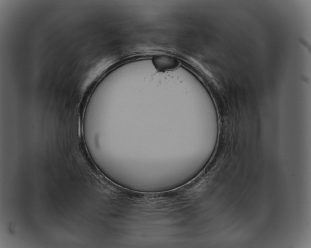 X0000093391269200710191147