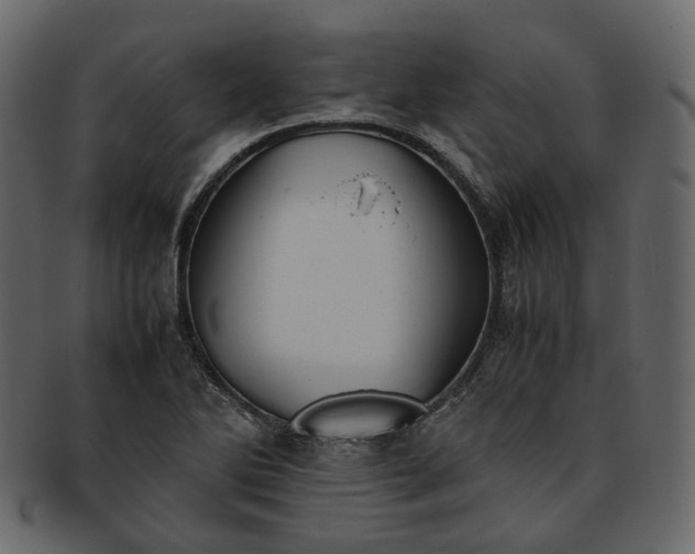 X0000093391270200710191147