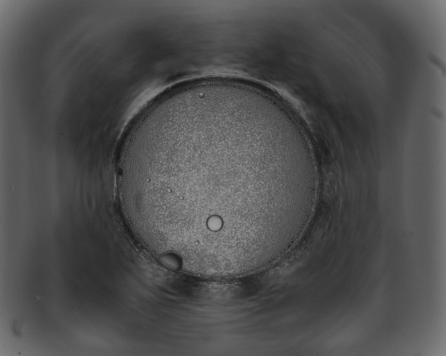 X0000093391271200710191146