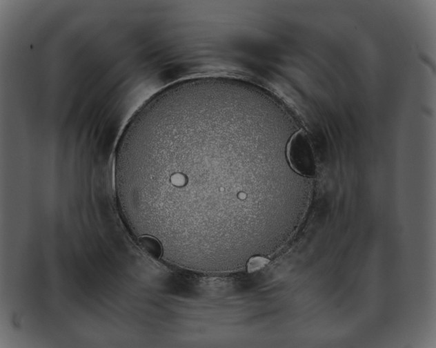 X0000093391275200710191146