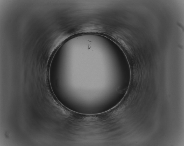 X0000093391277200710191146