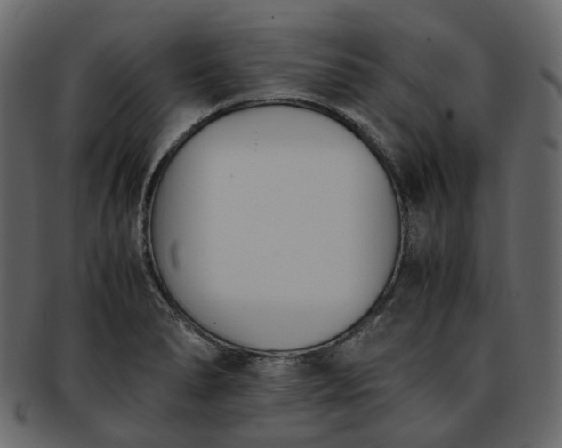 X0000093391278200710191146