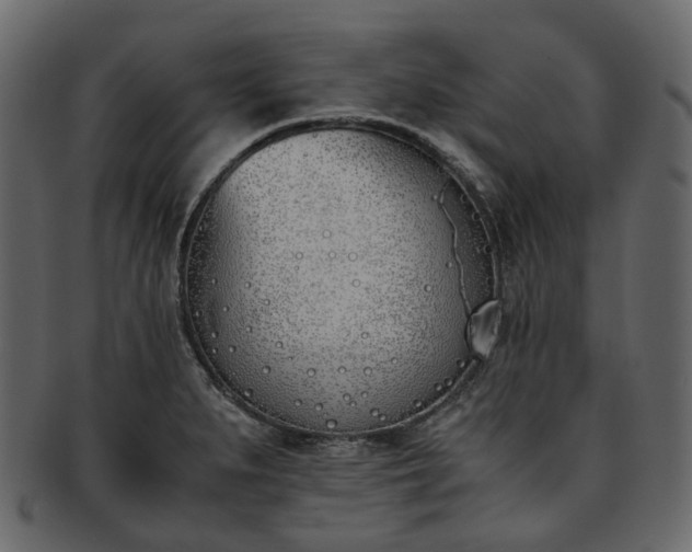 X0000093391279200710191146