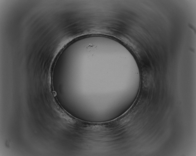 X0000093391280200710191146